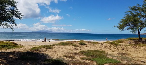 Visiting the Fiftieth State