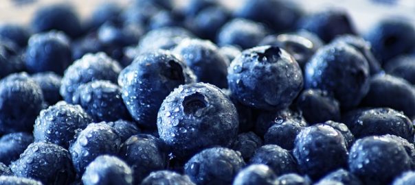 Blueberry Ravioli