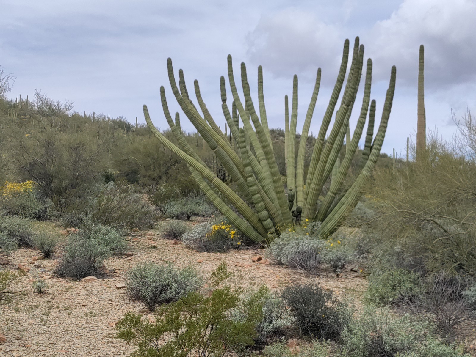 The Best One-Mile Hike